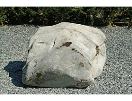 Gestaltungsstein,Solitärfindlinge für Gärten - Findling 223