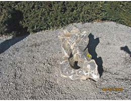 Findling 459 - Solitärfindlinge für Gärten,Gestaltungsstein Solitärfindlinge für Gärten,Gestaltungsstein - Findling 459