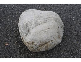 Solitärfindlinge für Gärten,Gestaltungsstein,Solitärfindlinge für Gärten - Findling 900
