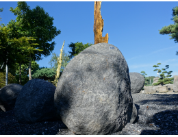 Solitärfindlinge für Gärten - Findling 1217