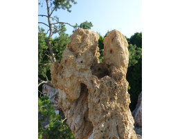 Raritäten,Showstone - Findling 1270