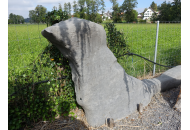 Findling 1101 - Steintier