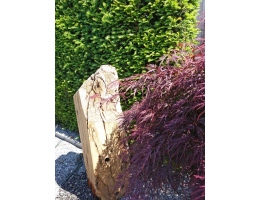 Holzskulpturen,Kunst mit Holz,Olivensockel - Findling 1032