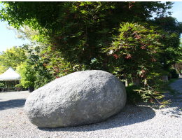 Solitärfindlinge für Gärten - Findling 1214