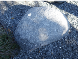 Solitärfindlinge für Gärten - Findling 1219