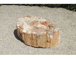 Gestaltungsstein,Versteinertes Holz - Findling 684