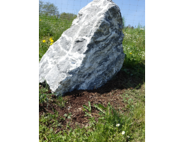 Solitärfindlinge für Gärten - Findling 1180