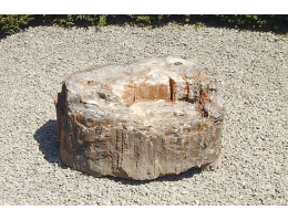 Versteinertes Holz,Gestaltungsstein - Findling 686