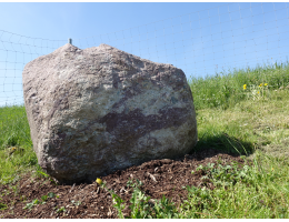 Solitärfindlinge für Gärten - Findling 1181