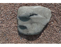 Kunst am Stein,Symbolfindling - Findling 558