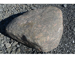 Solitärfindlinge für Gärten,Gestaltungsstein,Solitärfindlinge für Gärten - Findling 854