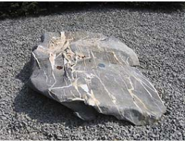 Findling 611 - Solitärfindlinge für Gärten,Gestaltungsstein Solitärfindlinge für Gärten,Gestaltungsstein - Findling 611