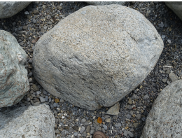 Gestaltungsstein,Solitärfindlinge für Gärten - Findling 1242