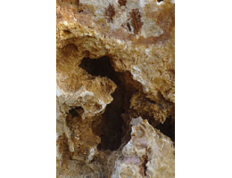 Findling 922 - Solitärfindlinge für Gärten,Gestaltungsstein,Solitärfindlinge für Gärten Solitärfindlinge für Gärten,Gestaltungsstein,Solitärfindlinge für Gärten - Findling 922