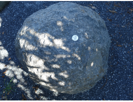 Solitärfindlinge für Gärten - Findling 1206