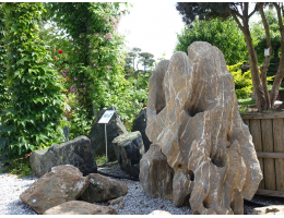 Raritäten,Showstone,Skulpturen aus Stein - Findling 1194