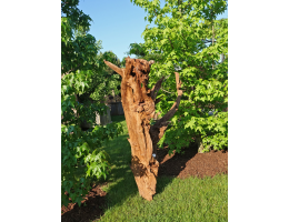 Holzskulpturen - Findling 1045