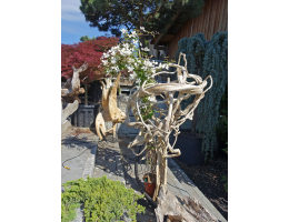Holzskulpturen,Kunst mit Holz - Findling 1035