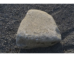 Solitärfindlinge für Gärten,Gestaltungsstein,Solitärfindlinge für Gärten - Findling 887