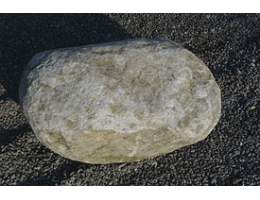 Solitärfindlinge für Gärten,Gestaltungsstein,Solitärfindlinge für Gärten - Findling 886