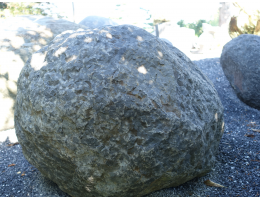 Solitärfindlinge für Gärten - Findling 1206