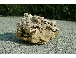 Gestaltungsstein,Solitärfindlinge für Gärten - Findling 6