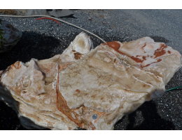 Wasserfindling - Findling 997