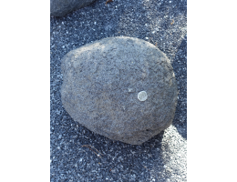 Solitärfindlinge für Gärten - Findling 1222