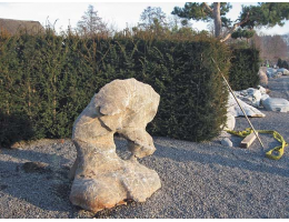 Gestaltungsstein,Showstone,Wasserfindling - Findling 453