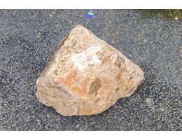 Solitärfindlinge für Gärten,Gestaltungsstein - Findling 700