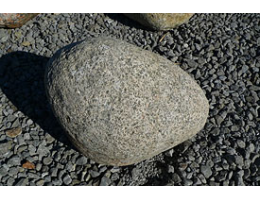 Solitärfindlinge für Gärten,Gestaltungsstein,Solitärfindlinge für Gärten - Findling 853