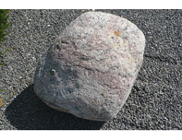 Gestaltungsstein,Solitärfindlinge für Gärten - Findling 891