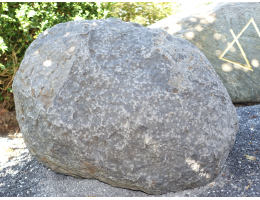 Solitärfindlinge für Gärten - Findling 1206