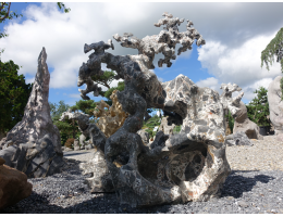 Raritäten,Showstone,Skulpturen aus Stein - Findling 1195