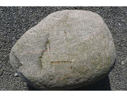 Solitärfindlinge für Gärten,Gestaltungsstein,Solitärfindlinge für Gärten - Findling 899