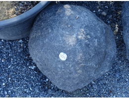 Solitärfindlinge für Gärten - Findling 1224