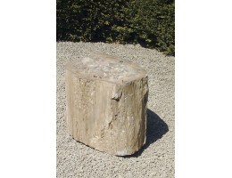 Versteinertes Holz,Gestaltungsstein - Findling 687