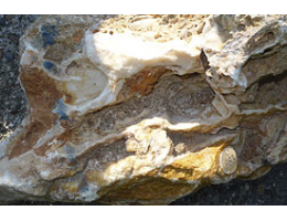 Solitärfindlinge für Gärten,Gestaltungsstein - Findling 983