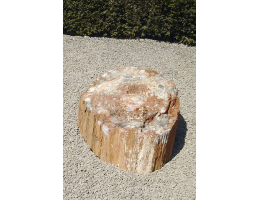 Gestaltungsstein,Versteinertes Holz - Findling 684