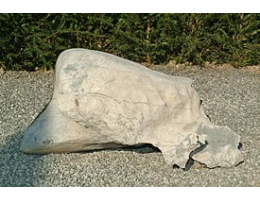 Gestaltungsstein,Solitärfindlinge für Gärten - Findling 281