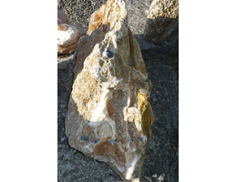 Solitärfindlinge für Gärten,Gestaltungsstein - Findling 983