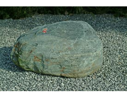 Gestaltungsstein,Solitärfindlinge für Gärten - Findling 123