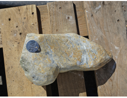 Geschenkideen,Showstone,Solitärfindlinge für Gärten - Findling 1014