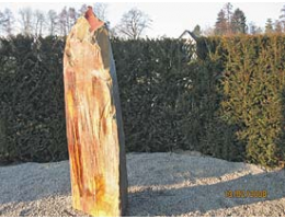 Solitärfindlinge für Gärten,Showstone,Raritäten,Hinkelstein - Findling 501