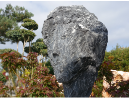 Steingesicht - Findling 1097