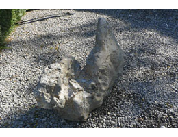 Solitärfindlinge für Gärten,Raritäten - Findling 764