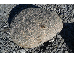 Solitärfindlinge für Gärten,Gestaltungsstein,Solitärfindlinge für Gärten - Findling 855