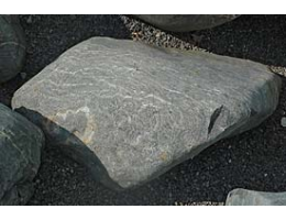 Gestaltungsstein,Solitärfindlinge für Gärten - Findling 564