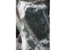 Solitärfindlinge für Gärten,Gestaltungsstein,Hinkelstein - Findling 795