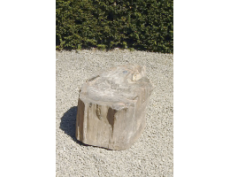 Versteinertes Holz,Gestaltungsstein - Findling 688